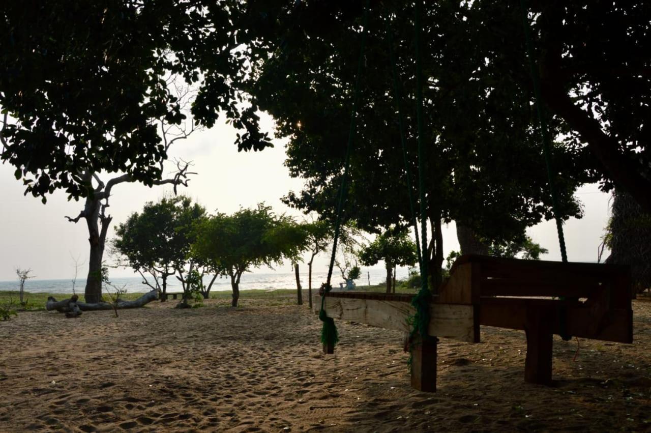 Surfing Lion Hostel อารูกัมเบย์ ภายนอก รูปภาพ