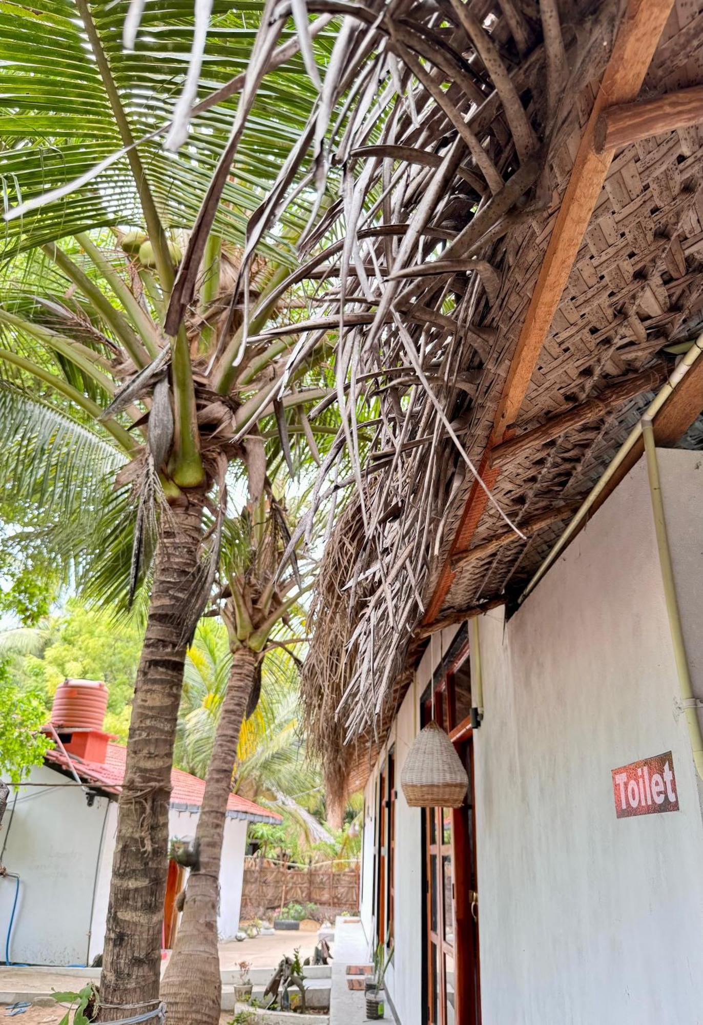 Surfing Lion Hostel อารูกัมเบย์ ภายนอก รูปภาพ