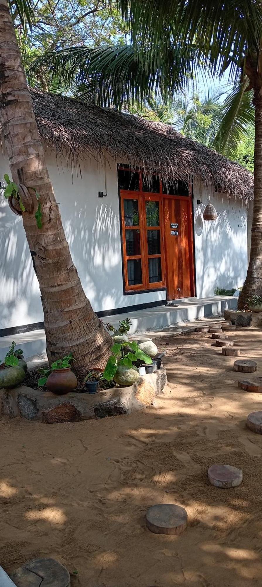 Surfing Lion Hostel อารูกัมเบย์ ภายนอก รูปภาพ