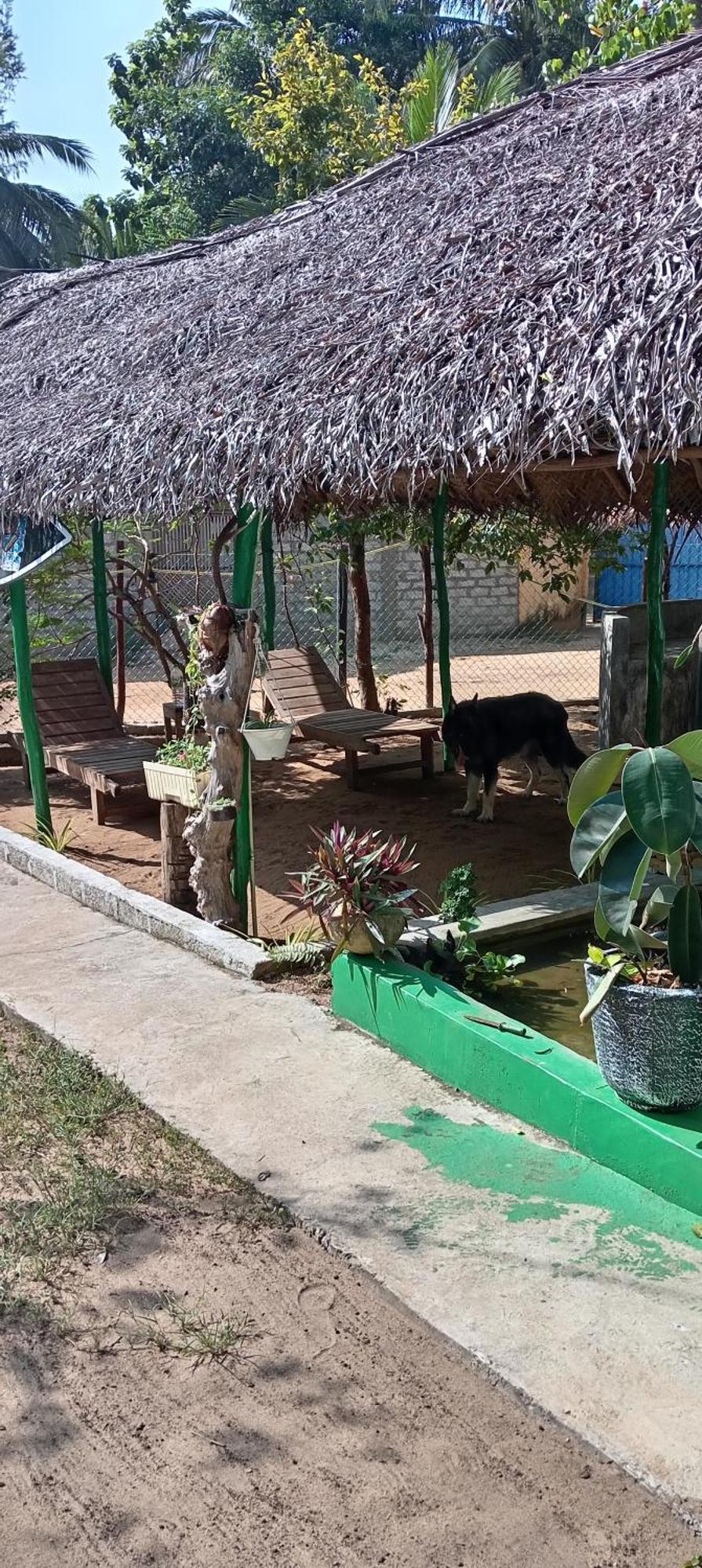 Surfing Lion Hostel อารูกัมเบย์ ภายนอก รูปภาพ