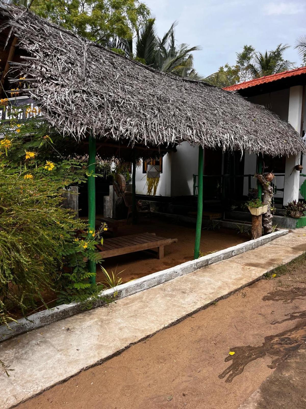 Surfing Lion Hostel อารูกัมเบย์ ภายนอก รูปภาพ