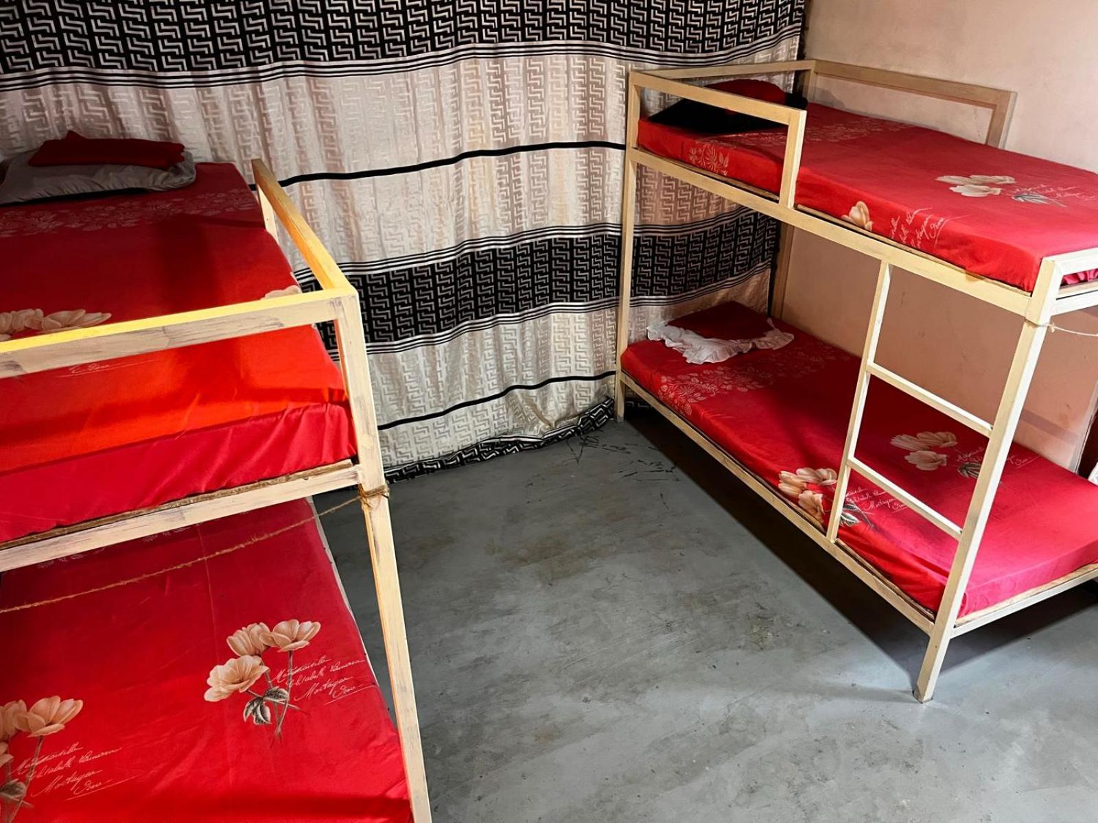 Surfing Lion Hostel อารูกัมเบย์ ภายนอก รูปภาพ