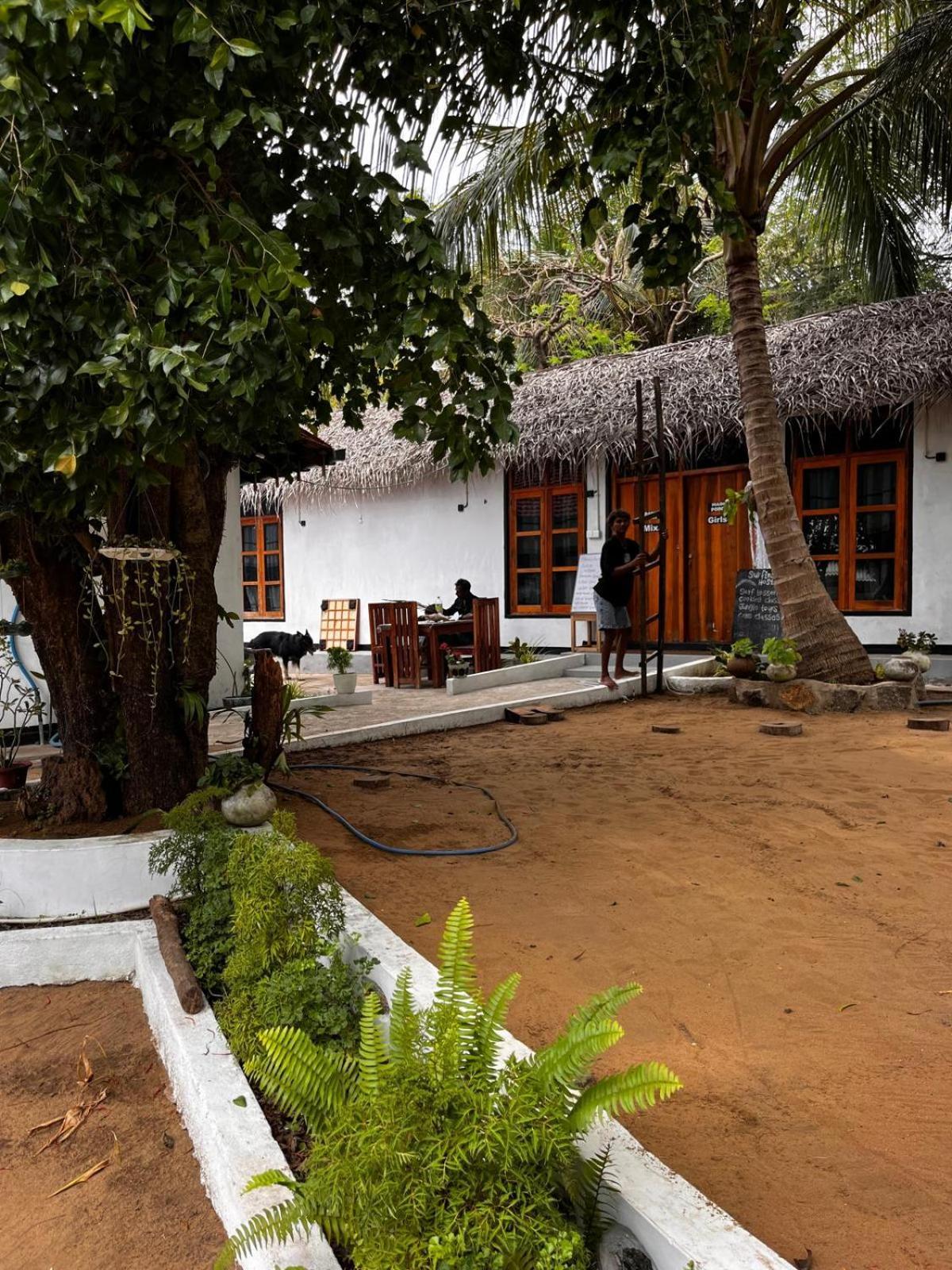 Surfing Lion Hostel อารูกัมเบย์ ภายนอก รูปภาพ