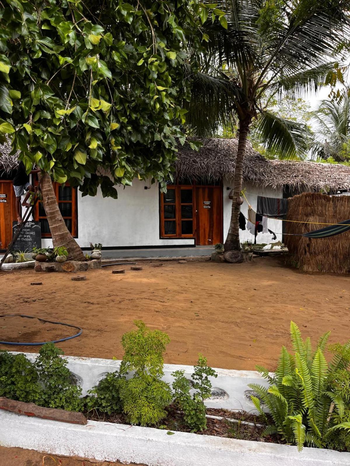 Surfing Lion Hostel อารูกัมเบย์ ภายนอก รูปภาพ