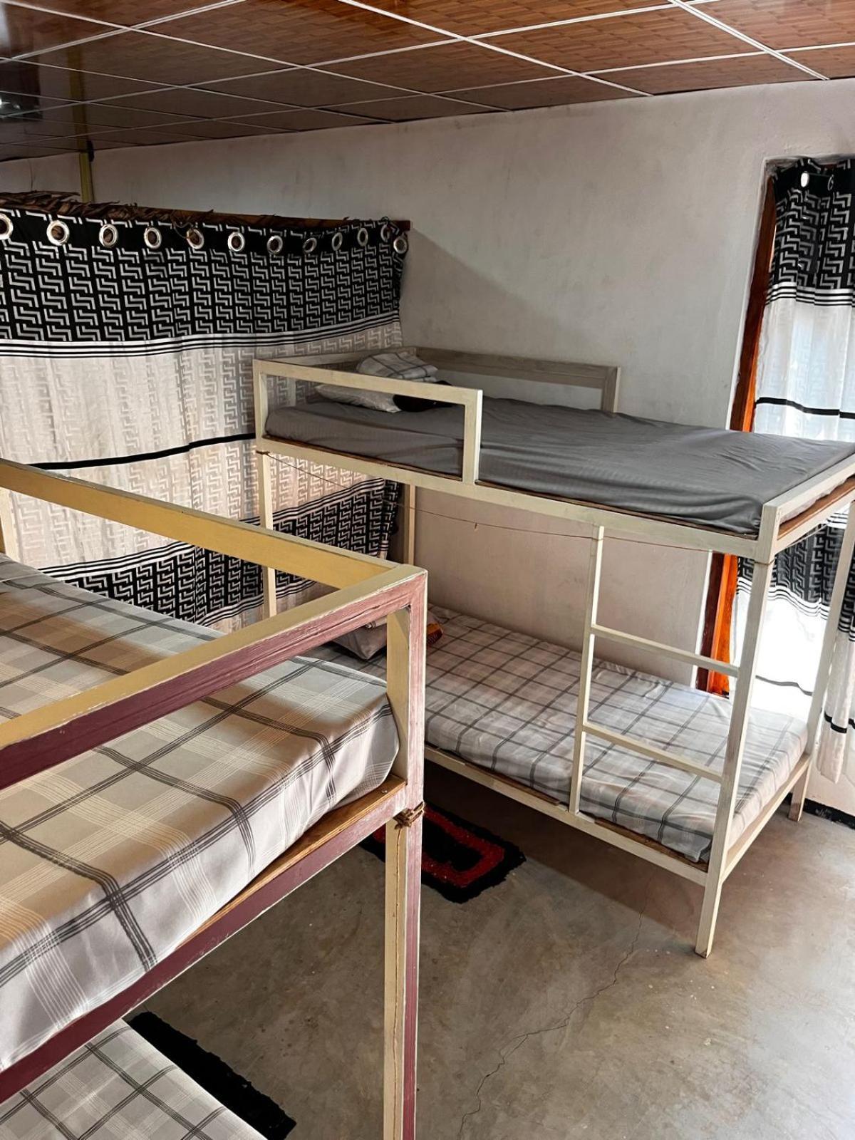 Surfing Lion Hostel อารูกัมเบย์ ภายนอก รูปภาพ