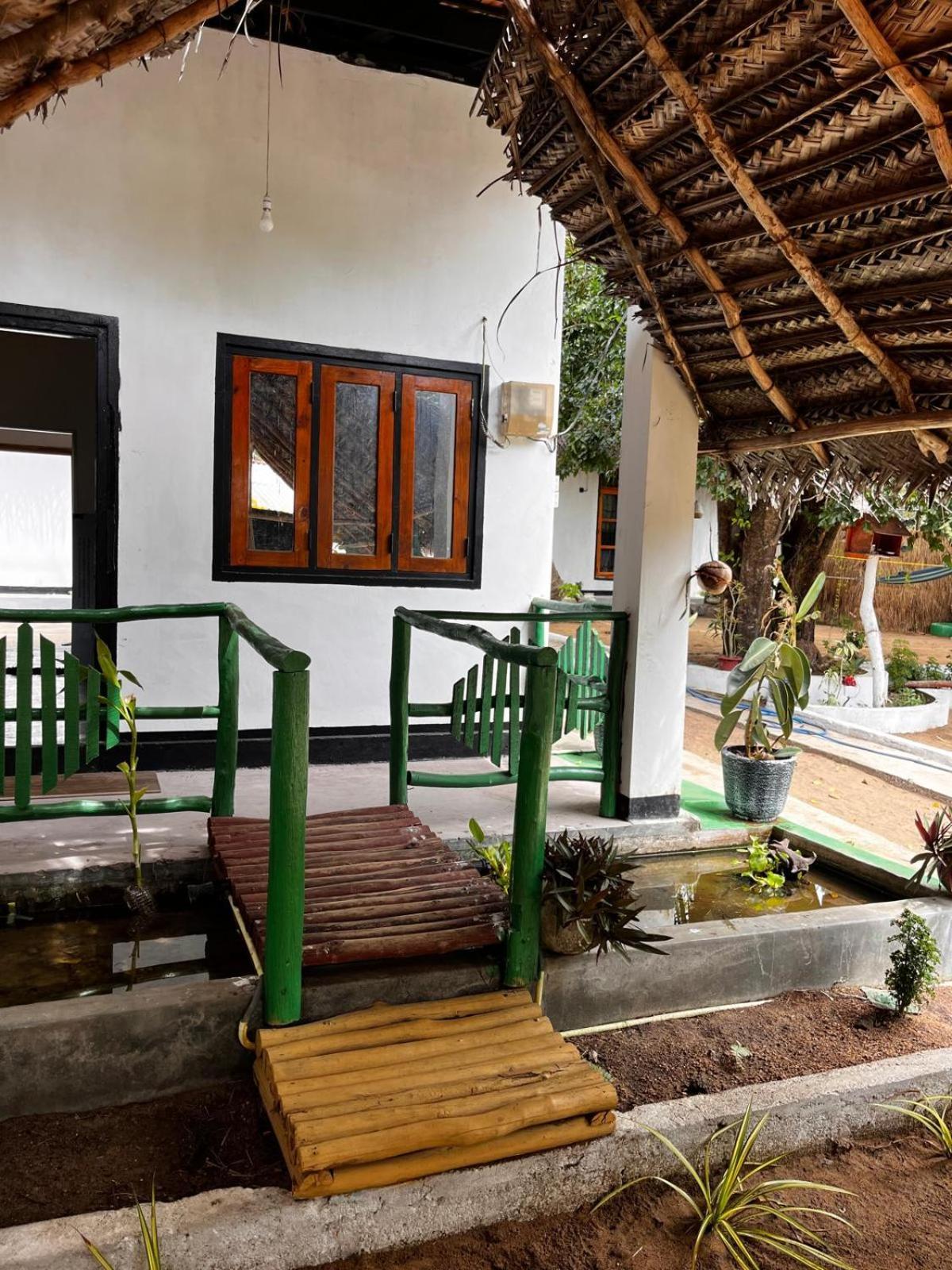 Surfing Lion Hostel อารูกัมเบย์ ภายนอก รูปภาพ