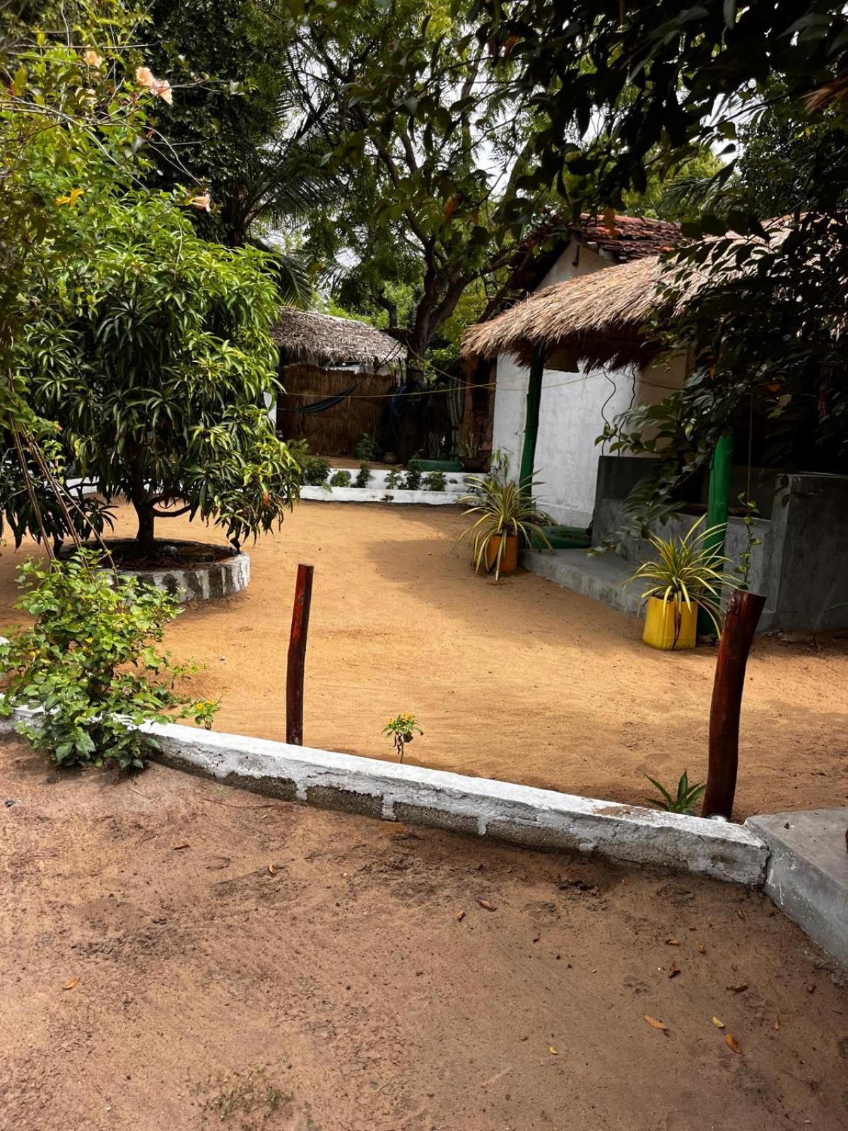 Surfing Lion Hostel อารูกัมเบย์ ภายนอก รูปภาพ