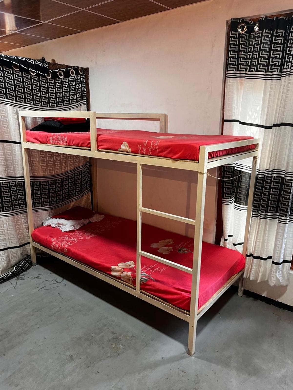 Surfing Lion Hostel อารูกัมเบย์ ภายนอก รูปภาพ