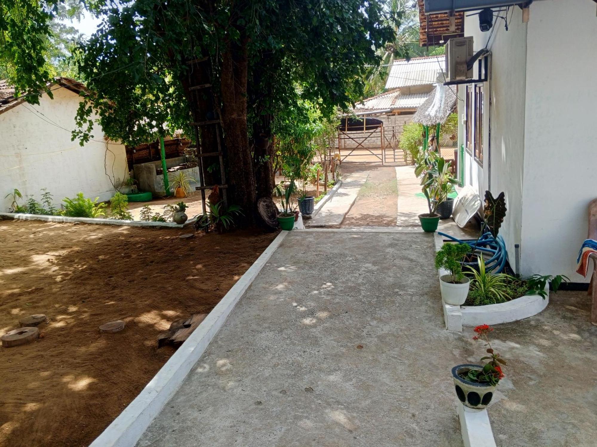 Surfing Lion Hostel อารูกัมเบย์ ภายนอก รูปภาพ