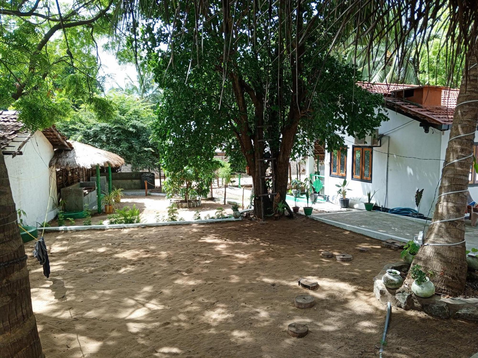 Surfing Lion Hostel อารูกัมเบย์ ภายนอก รูปภาพ